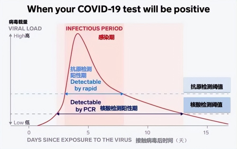 新冠陽了后，抗原需要天天做嗎？一看你就明白